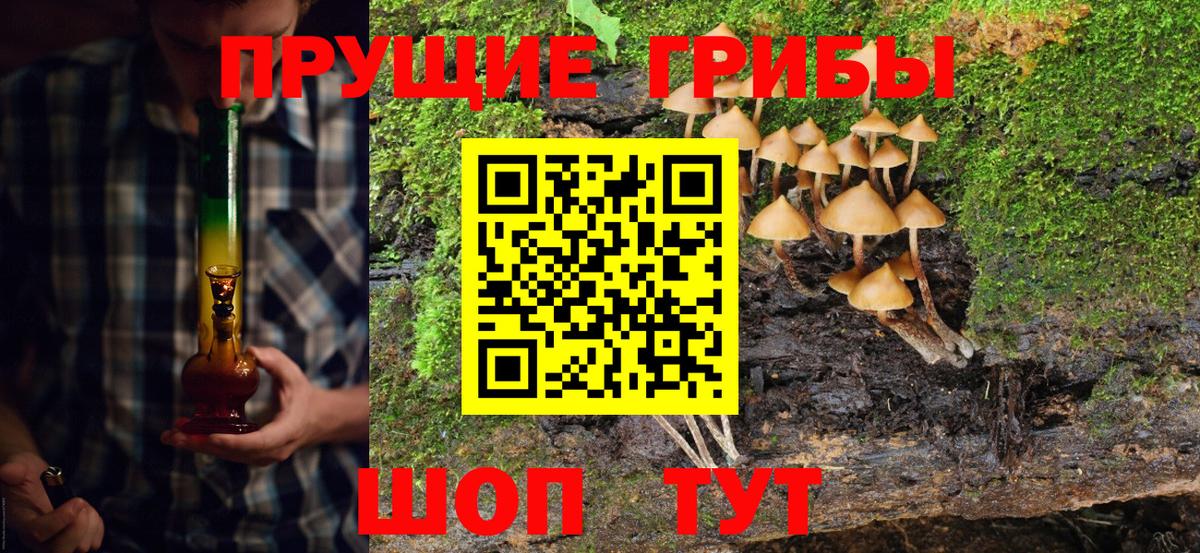 Ейск  Псилоцибиновые грибы Magic Shrooms  Вход с VPN 