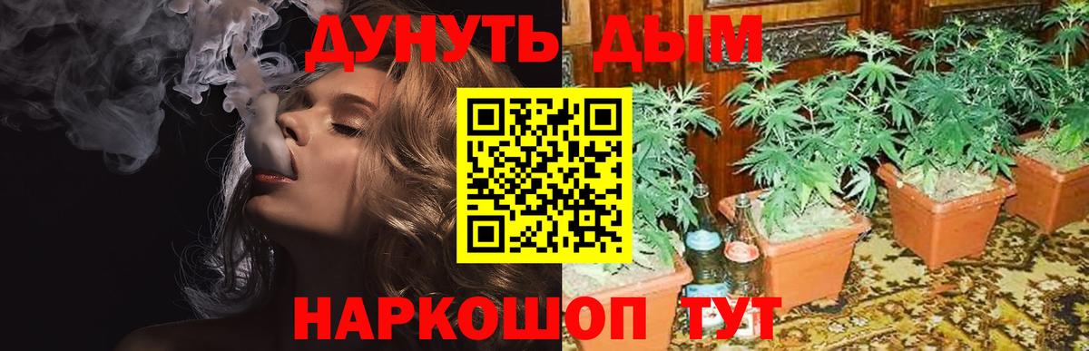 Канабис конопля Ейск